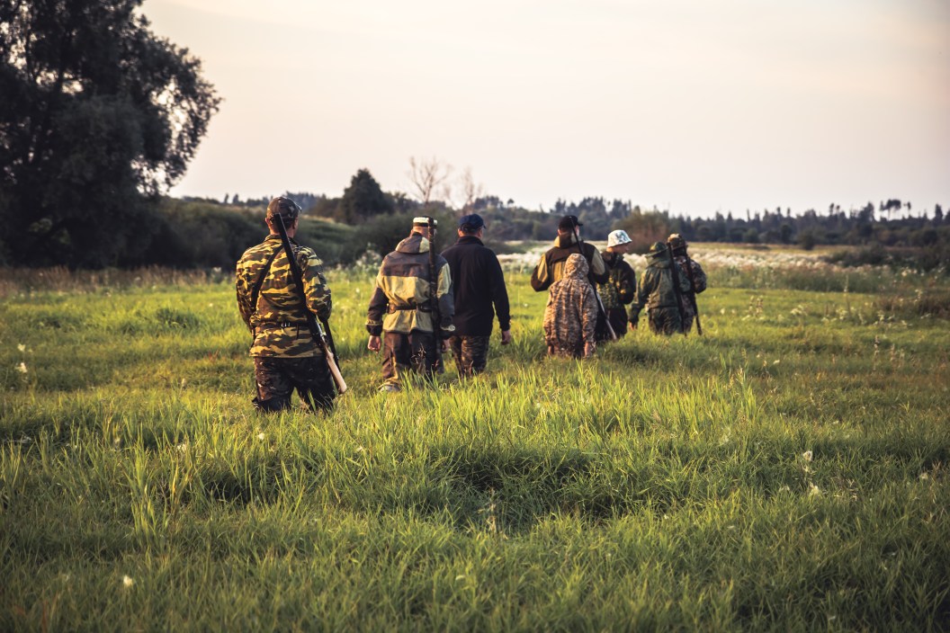 Hunting scene with group of males hunters going through tall grass on rural field at sunset during hunting season