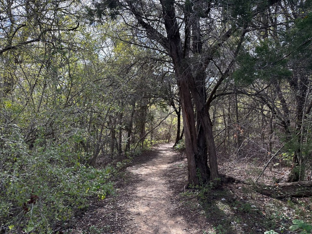 Onion Creek Trail
