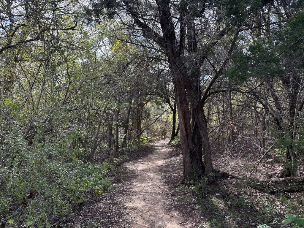 Onion Creek Trail 