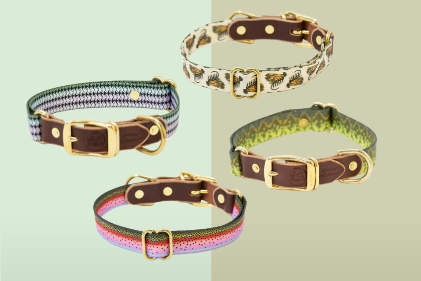 Brown leather dog collars of various colors and patters over a light green background