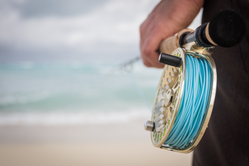 Saltwater fly fishing reel and line