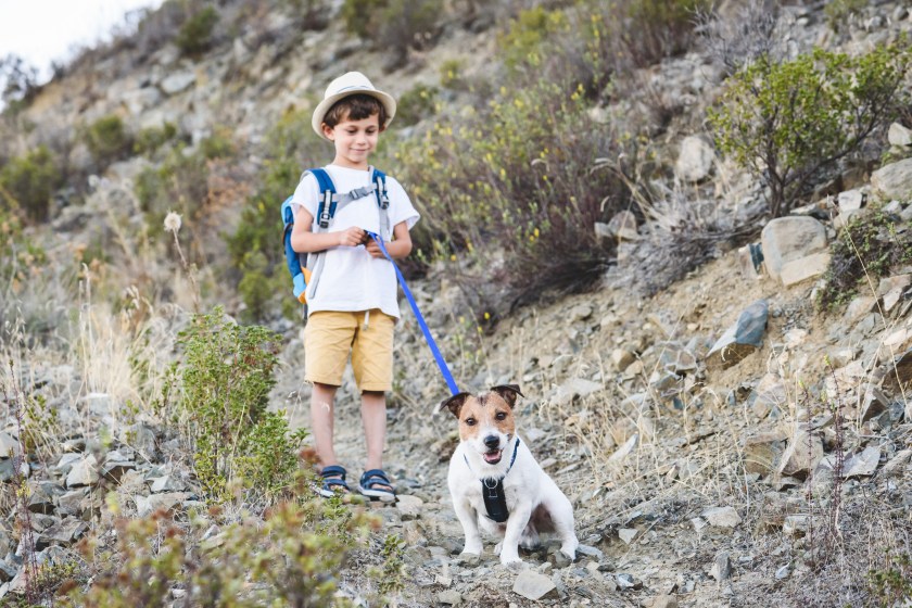 hiking with your dog and hypoglycemia