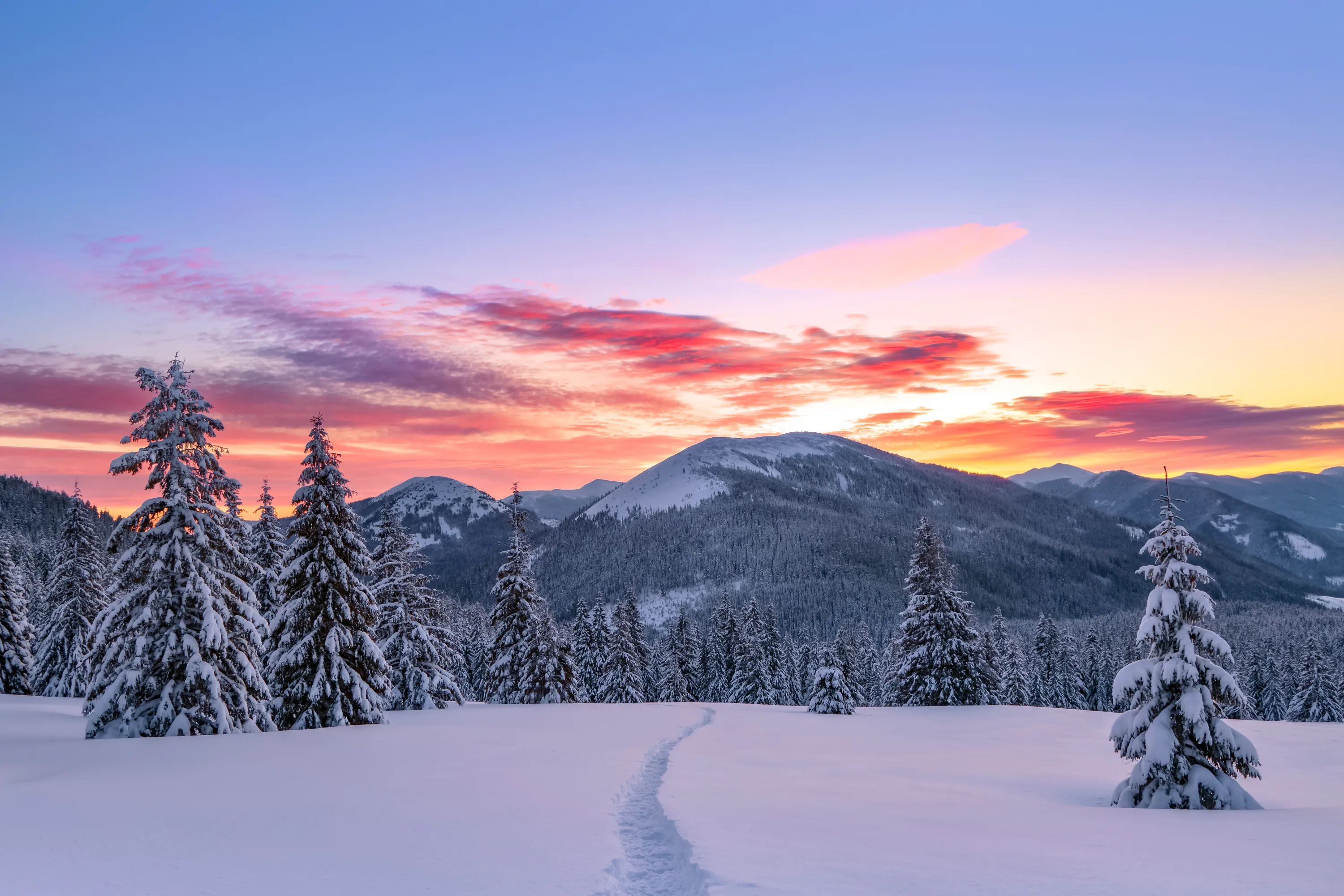 Winter Survival Tips If You Get Stuck Outside This Winter