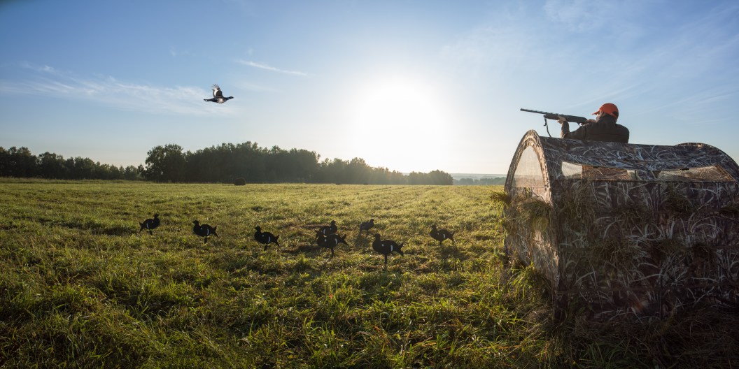 Hunter inside a hunting blind and shooting to the flying bird. banner with copy space.