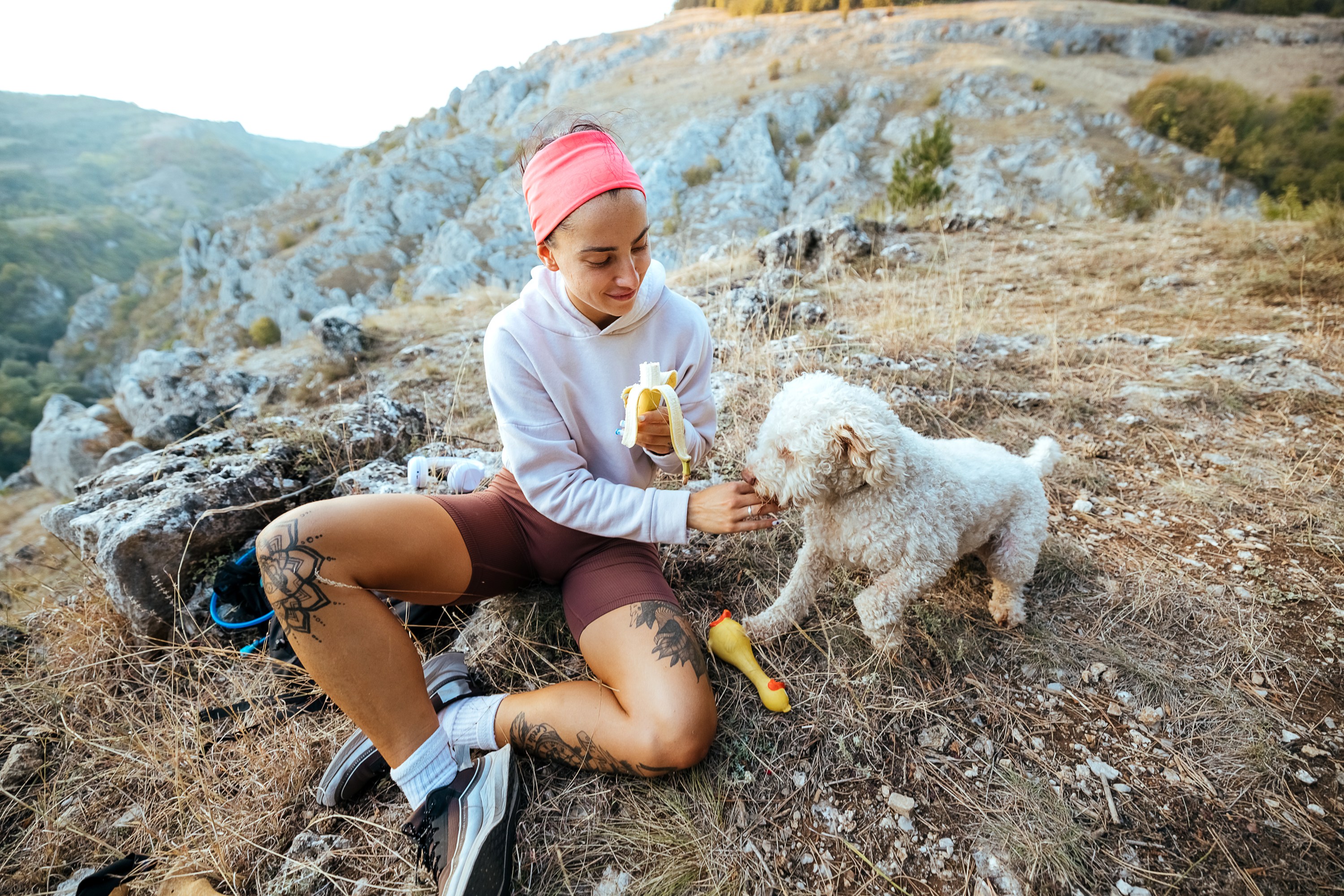 Picture Idea: Why Do Dogs Eat Grass And How Can You Stop
