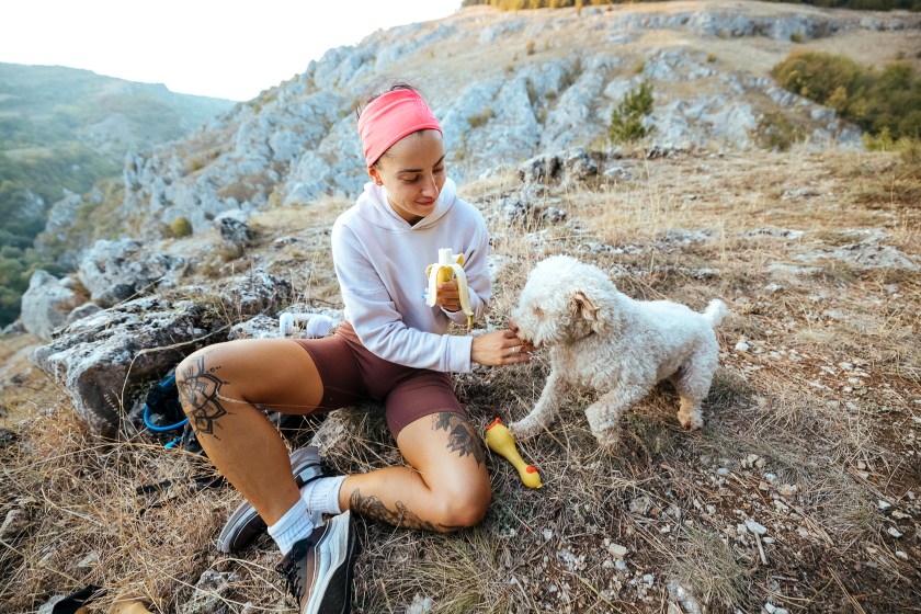 how to prevent hypoglycemia while hiking with your dogs