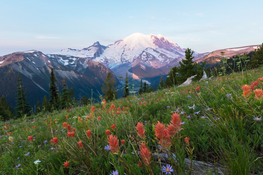 Mount Rainier National Park deadliest parks