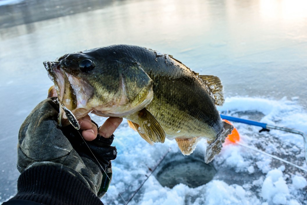 Big ice bass caught with ice fishing jig
