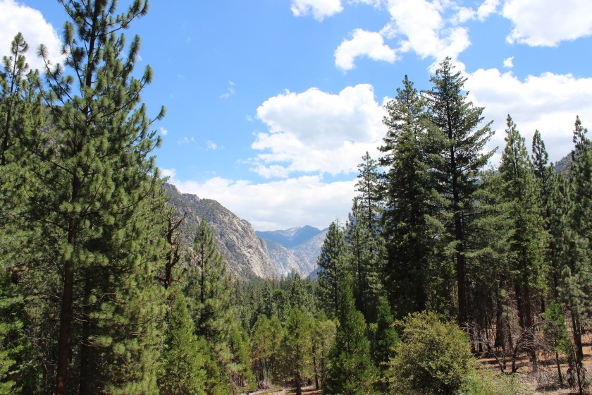 kings canyon national park deadliest national parks