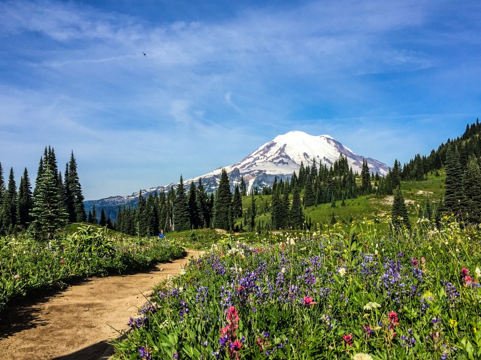 Mount Rainier and wildflowers seen from the Naches Peak Loop trail, in Mount Rainier National Park, Washington State.