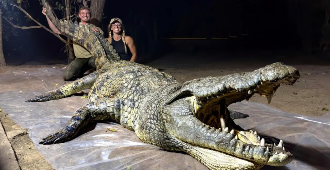 josh bowmar crocodile