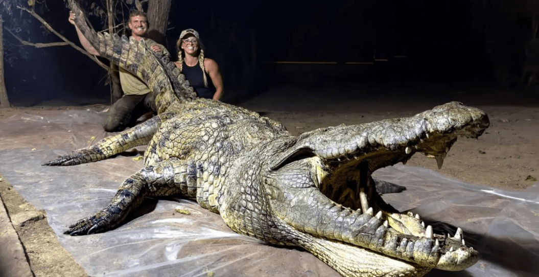 Josh Bowmar Claims He Killed a World Record-Breaking Crocodile