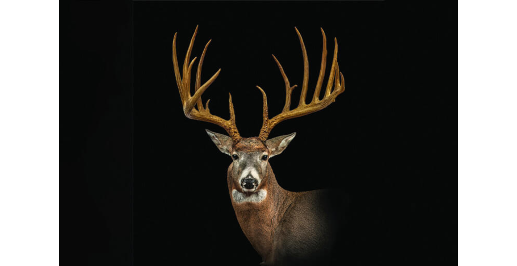 kyriss buck pennsylvania state record