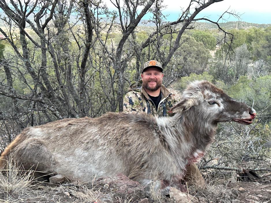 new mexico hunter harvests piebald elk