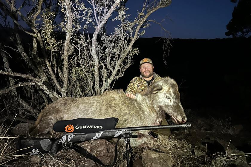 piebald elk shot by new mexico hunter