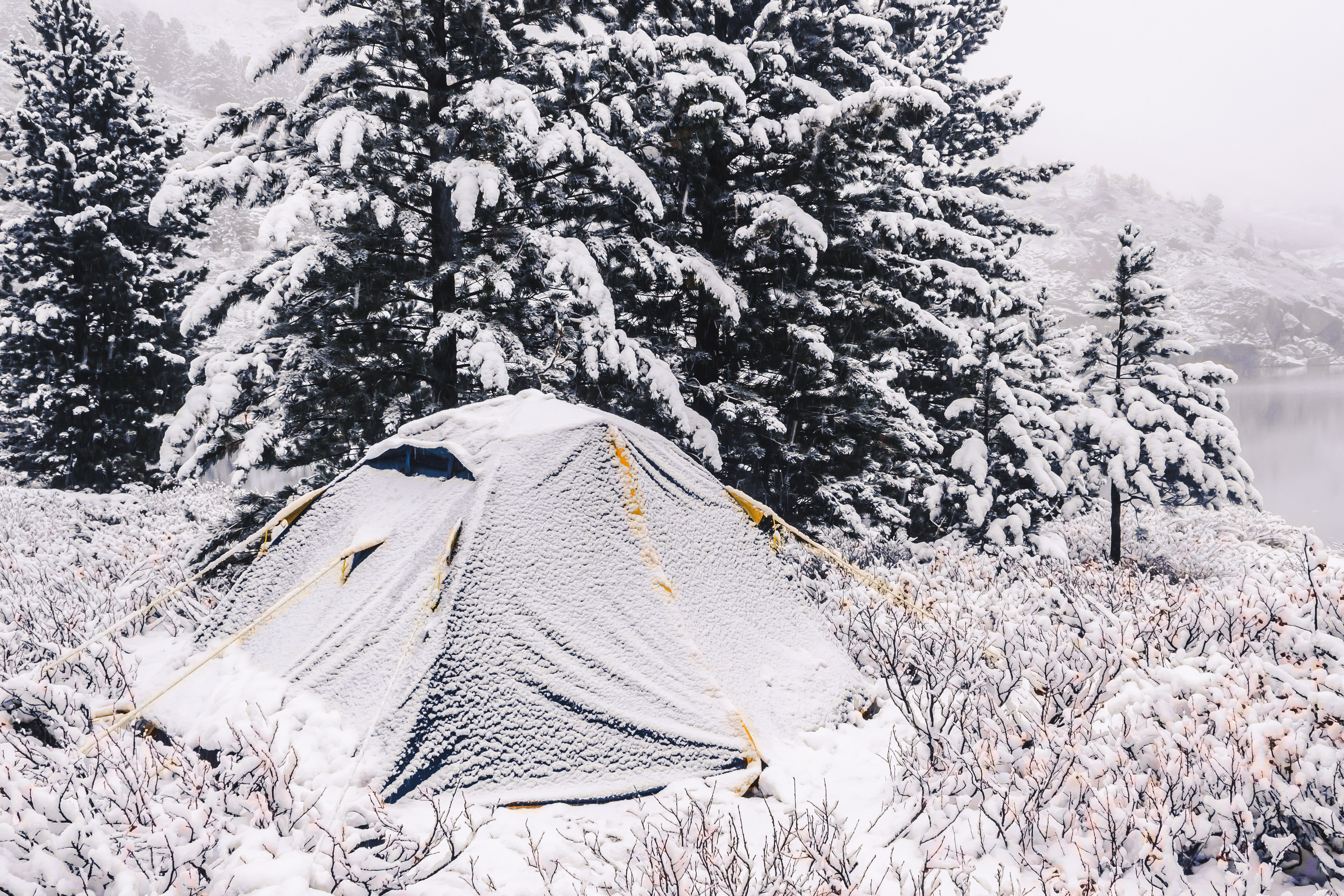Tourist tent in winter forest. 4 season tent.