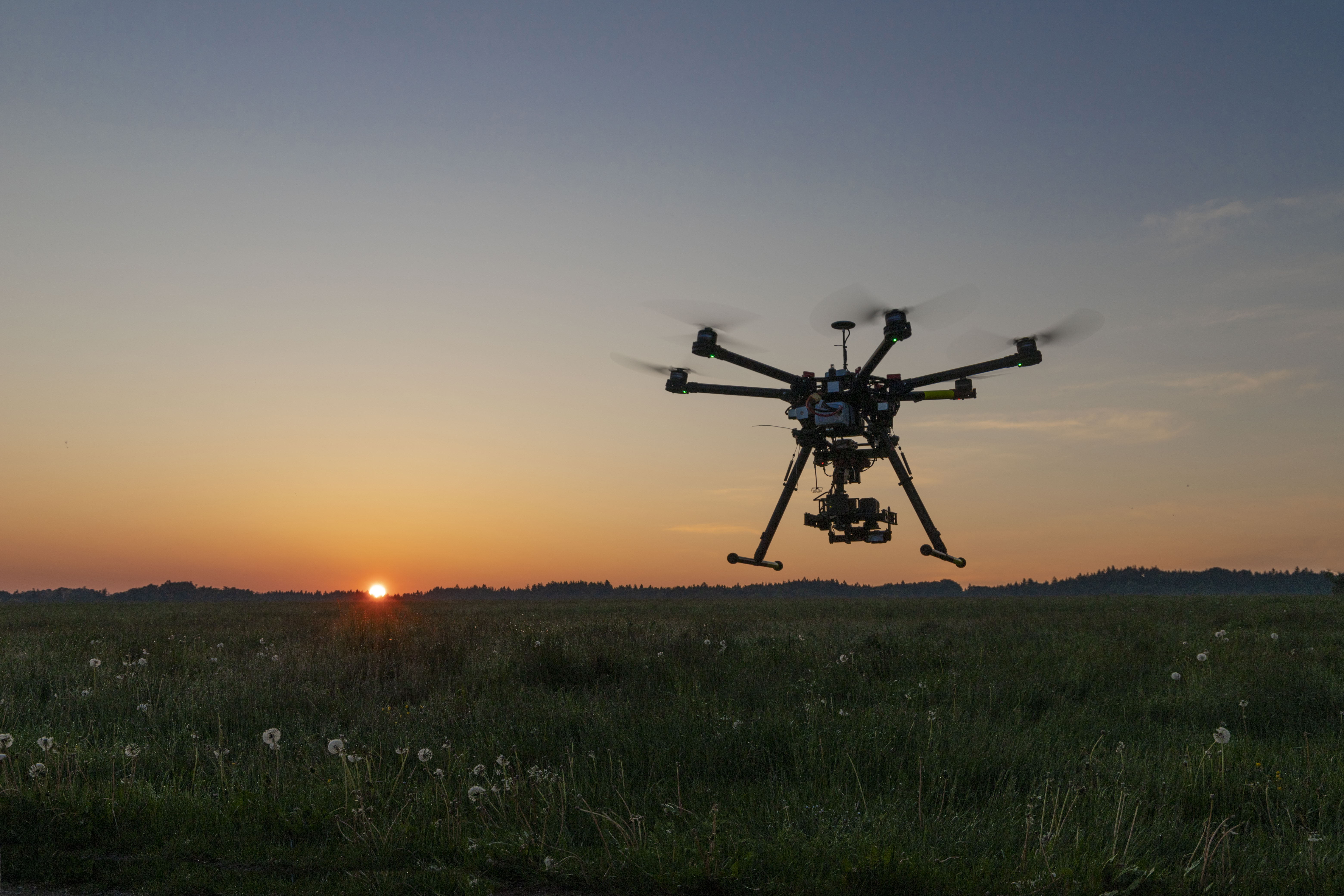 drone elk count