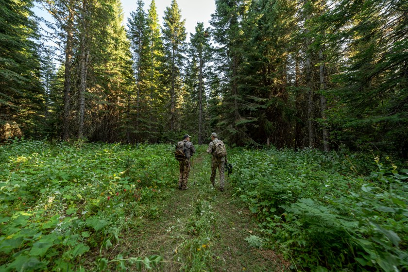 hunting and technology