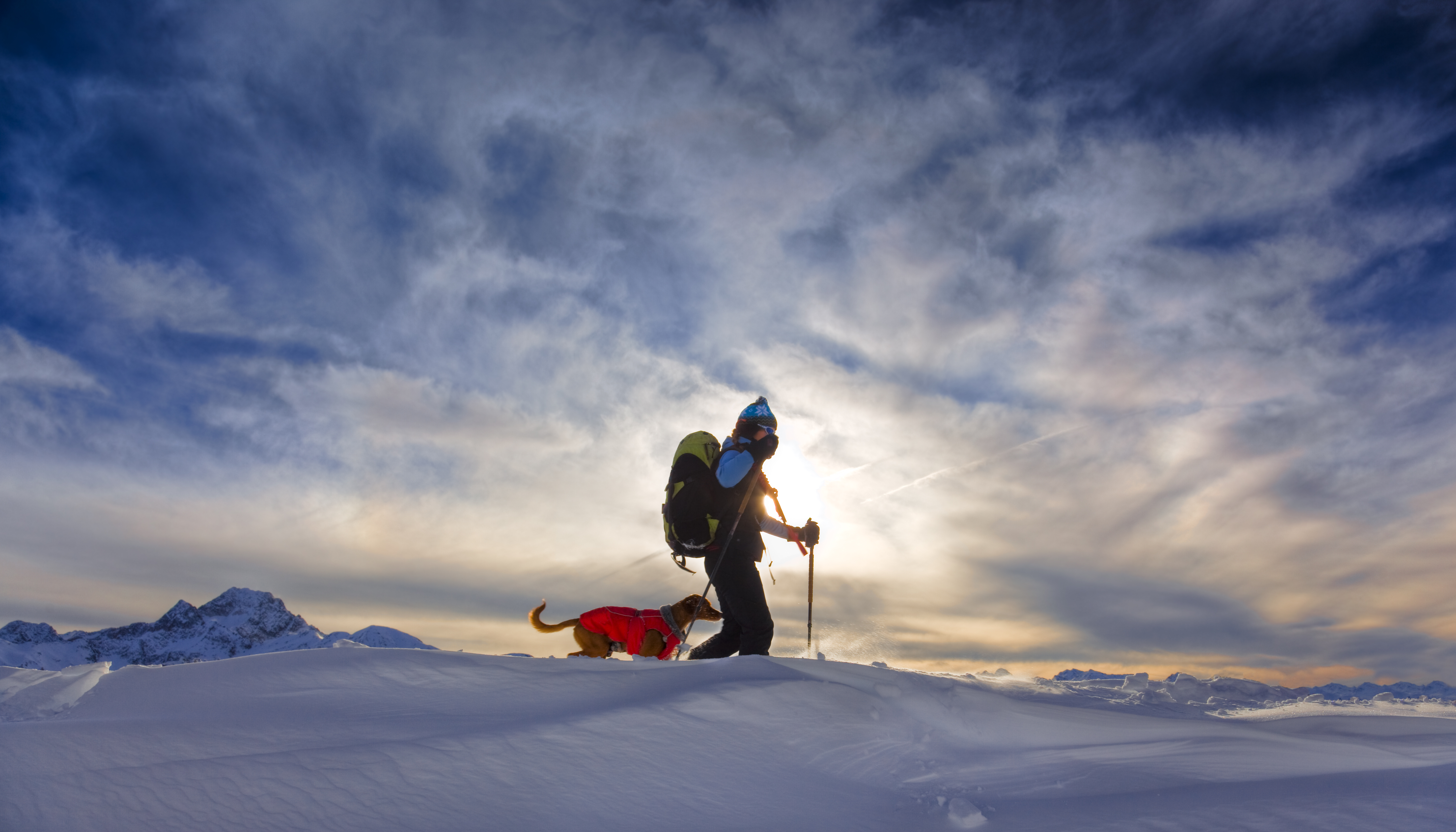 Young woman snowshoeing in the alps with avalanche rescue dogPlease see some similar pictures here: