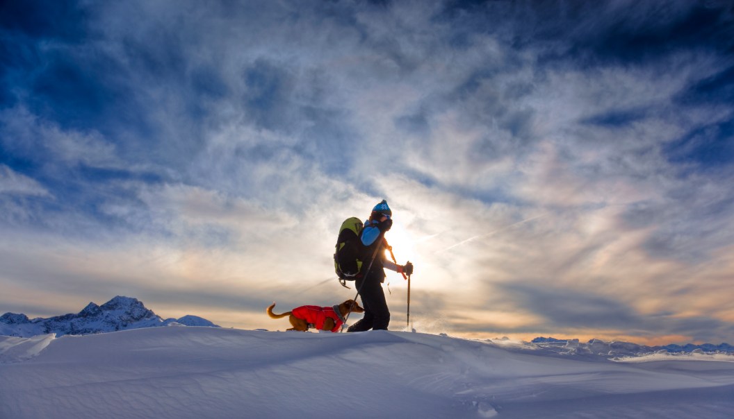 Young woman snowshoeing in the alps with avalanche rescue dogPlease see some similar pictures here: