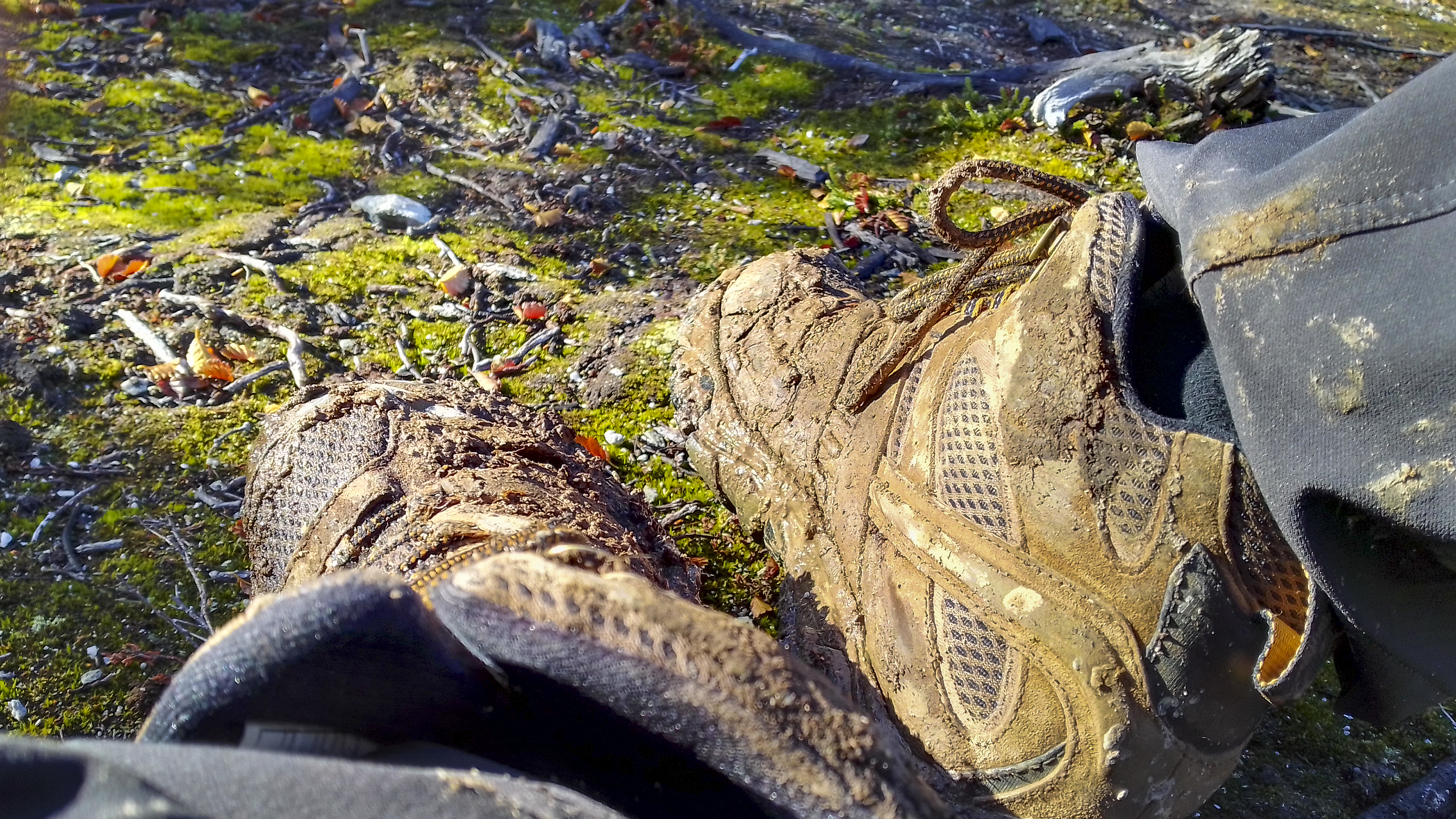 Close up shot hiking boots detail on forest ground, tierra del fuego, argentina