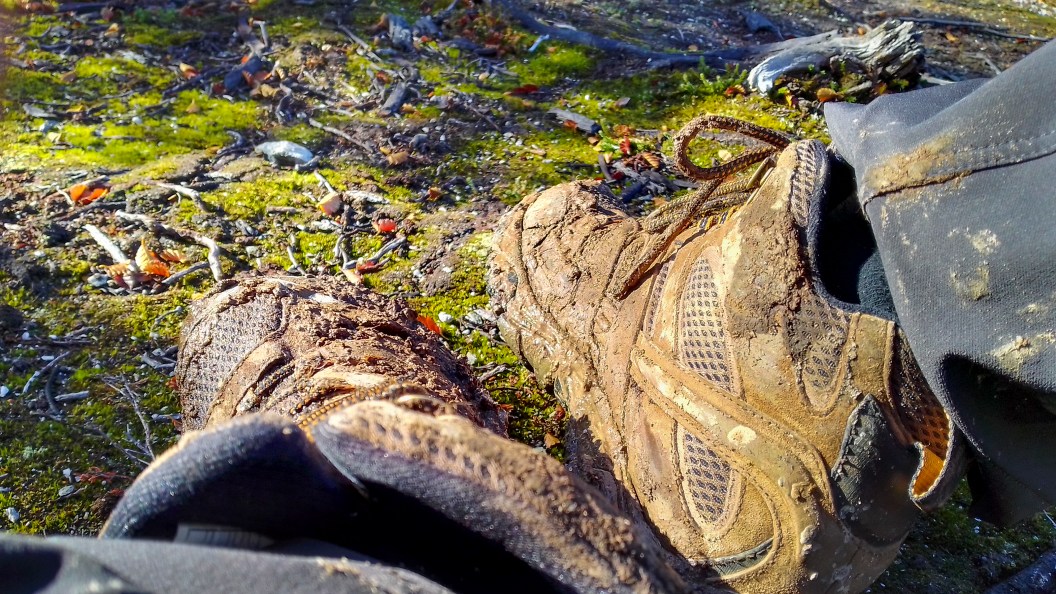 Close up shot hiking boots detail on forest ground, tierra del fuego, argentina