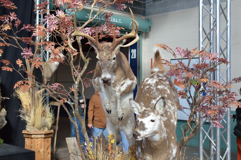 PA Outdoors Show