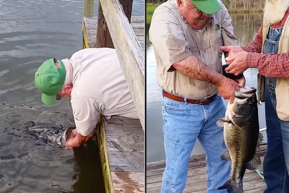 Watch This Alabama Retiree Land a 16-Pound Bass With His Bare Hands