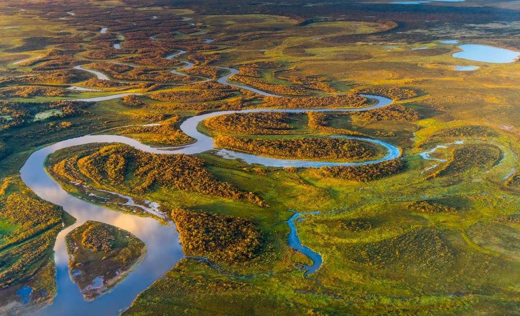 BLM considers removing protections for Alaska D1 lands, including caribou and salmon habitat
