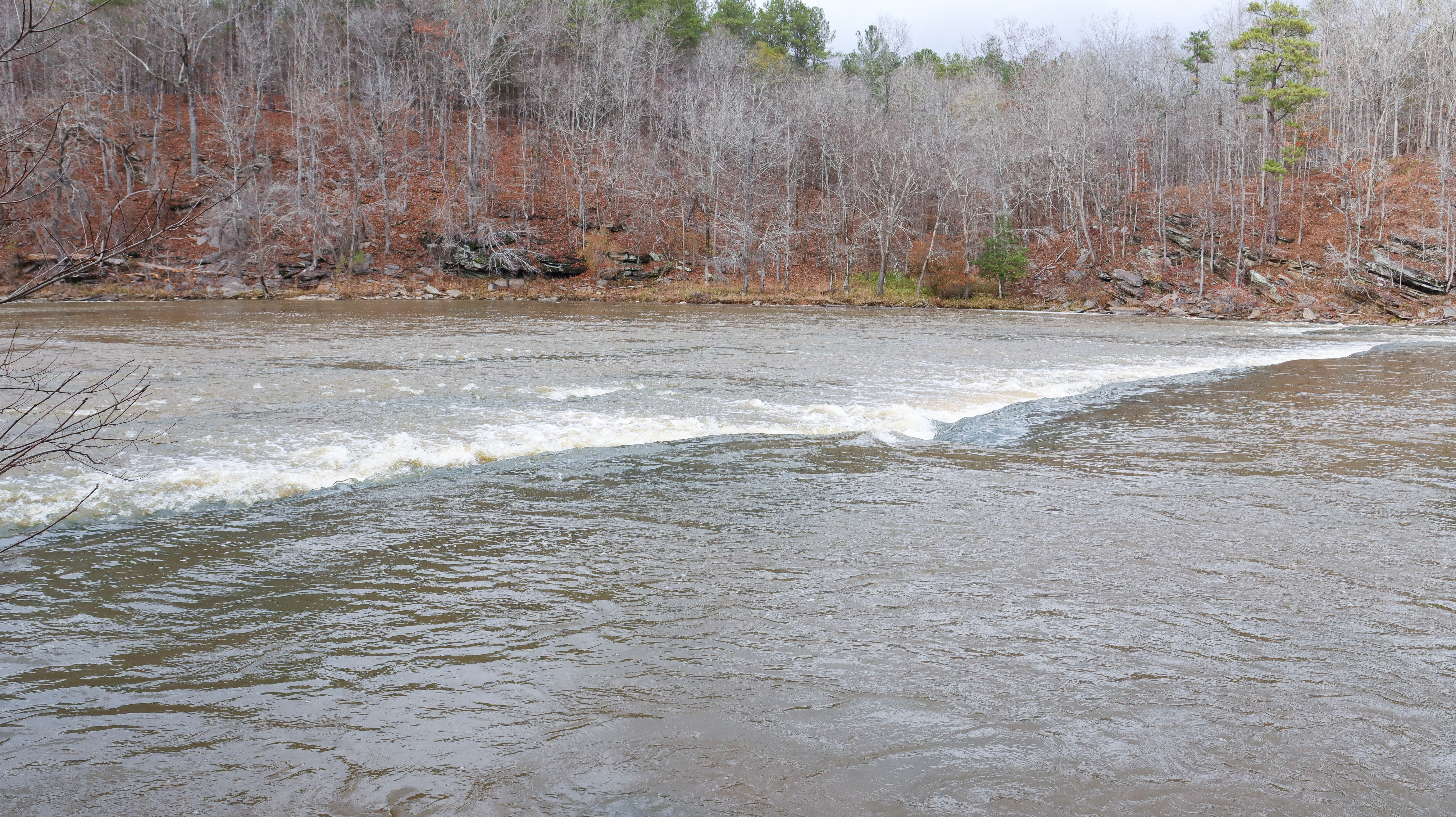 Just a long stretch type shot of the Flint River. This was shot at Sprewell Bluff State Park in Thomaston, Georgia.