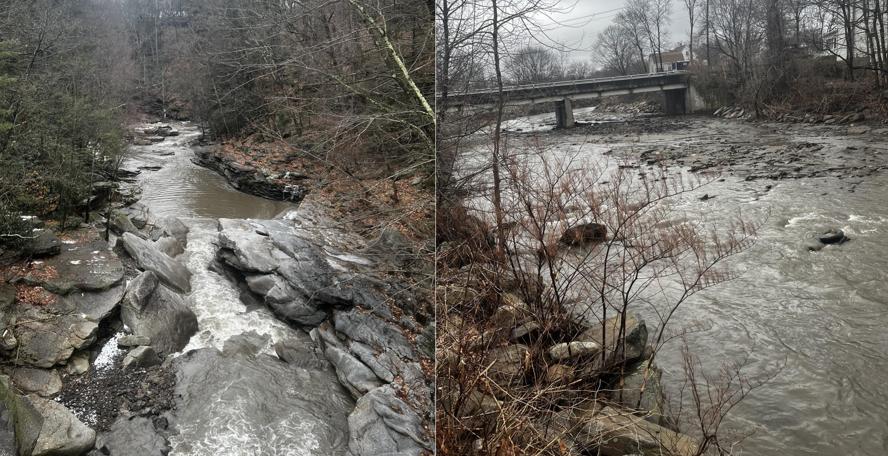 Lackawanna county blue ribbon trout stream