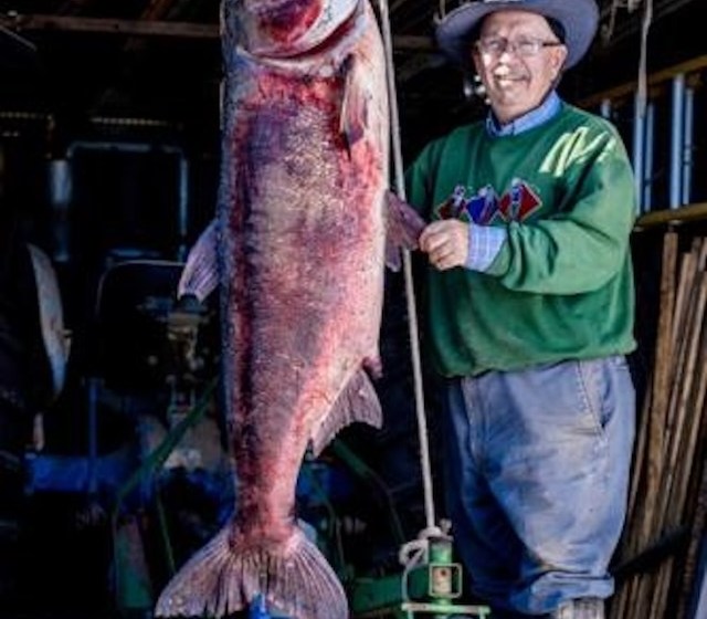 George Chance's catch, a 97-pound bighead carp, beat the world record by 17 pounds.