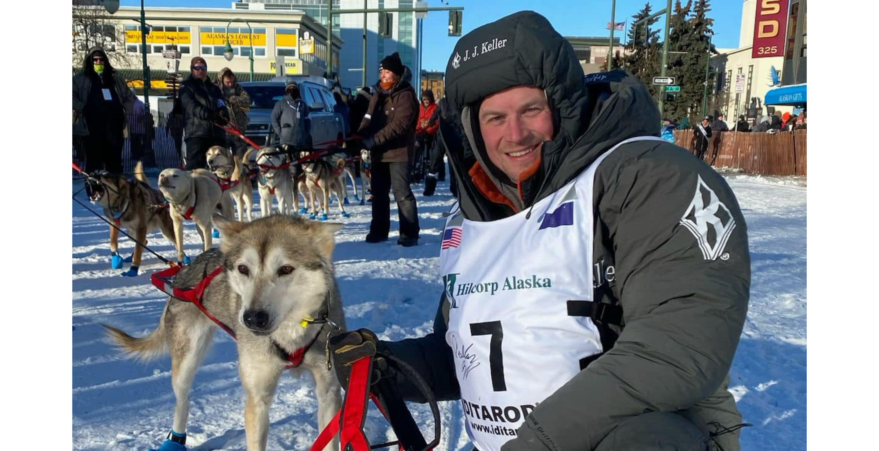 dallas seavey kills moose iditarod 2024