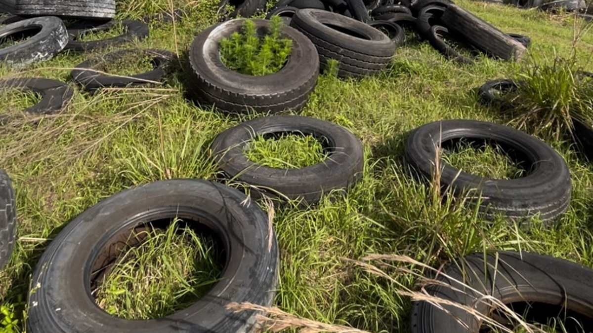 tires