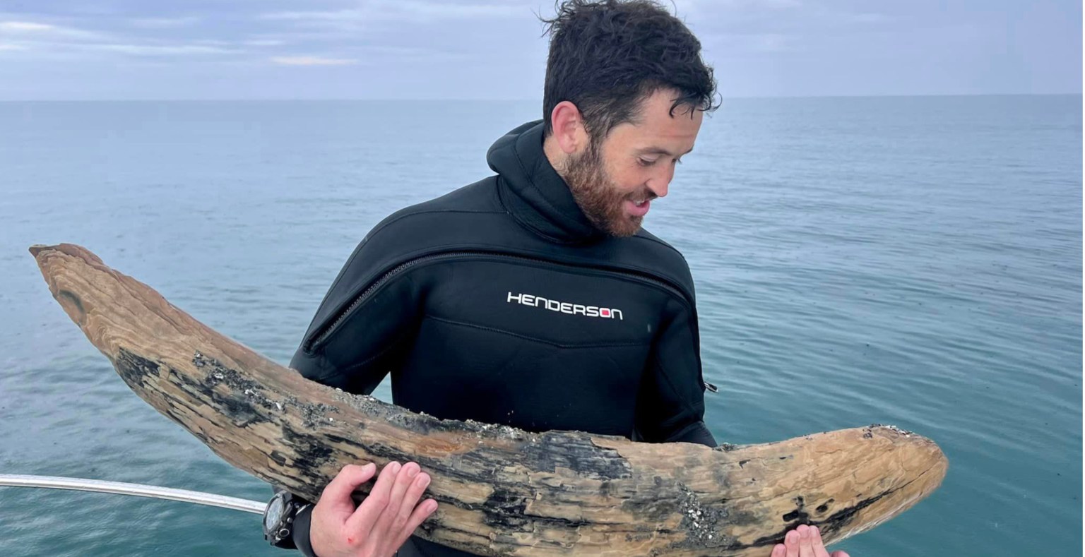 Diver Discovers Million Year Old Fossil Off The Coast Of Florida Wide