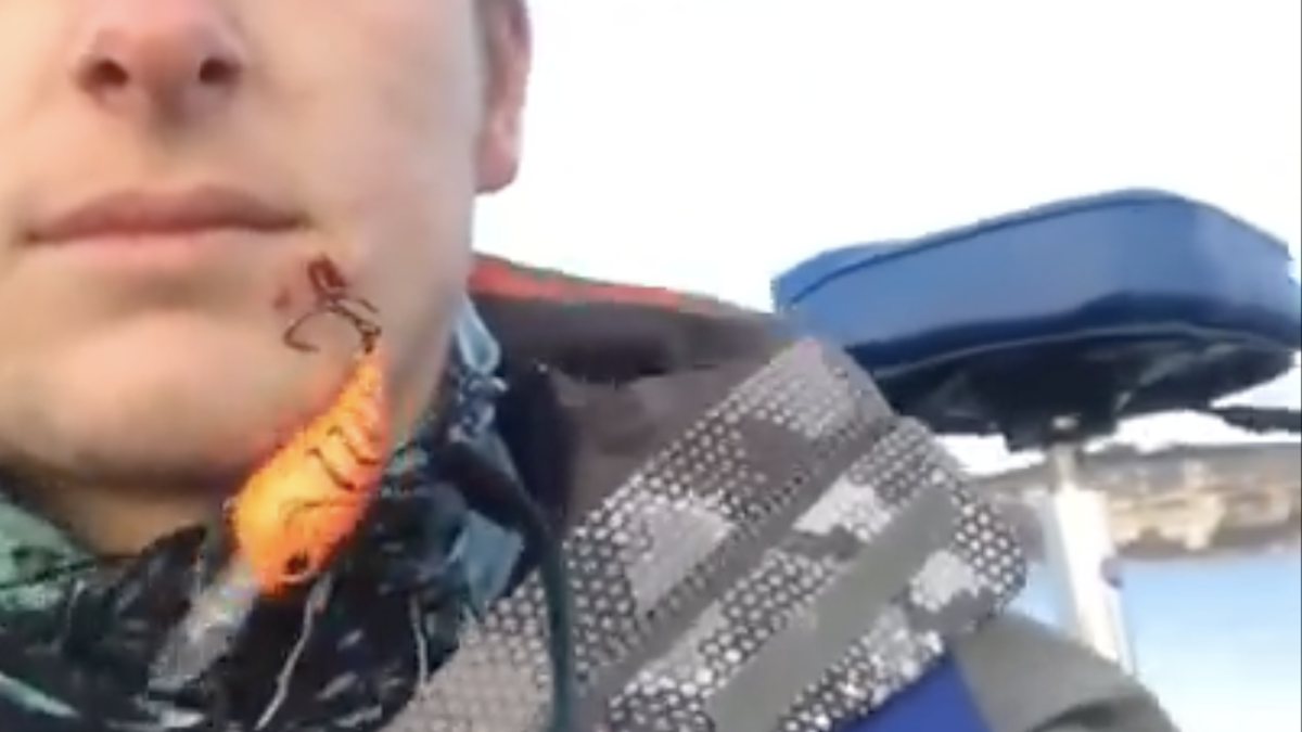fishing hook