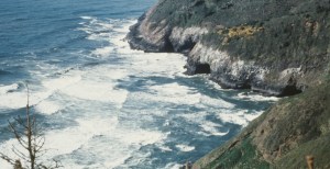 Man Trapped In Ravine Finds Unlikely Rescue When His Dog Pulls Real