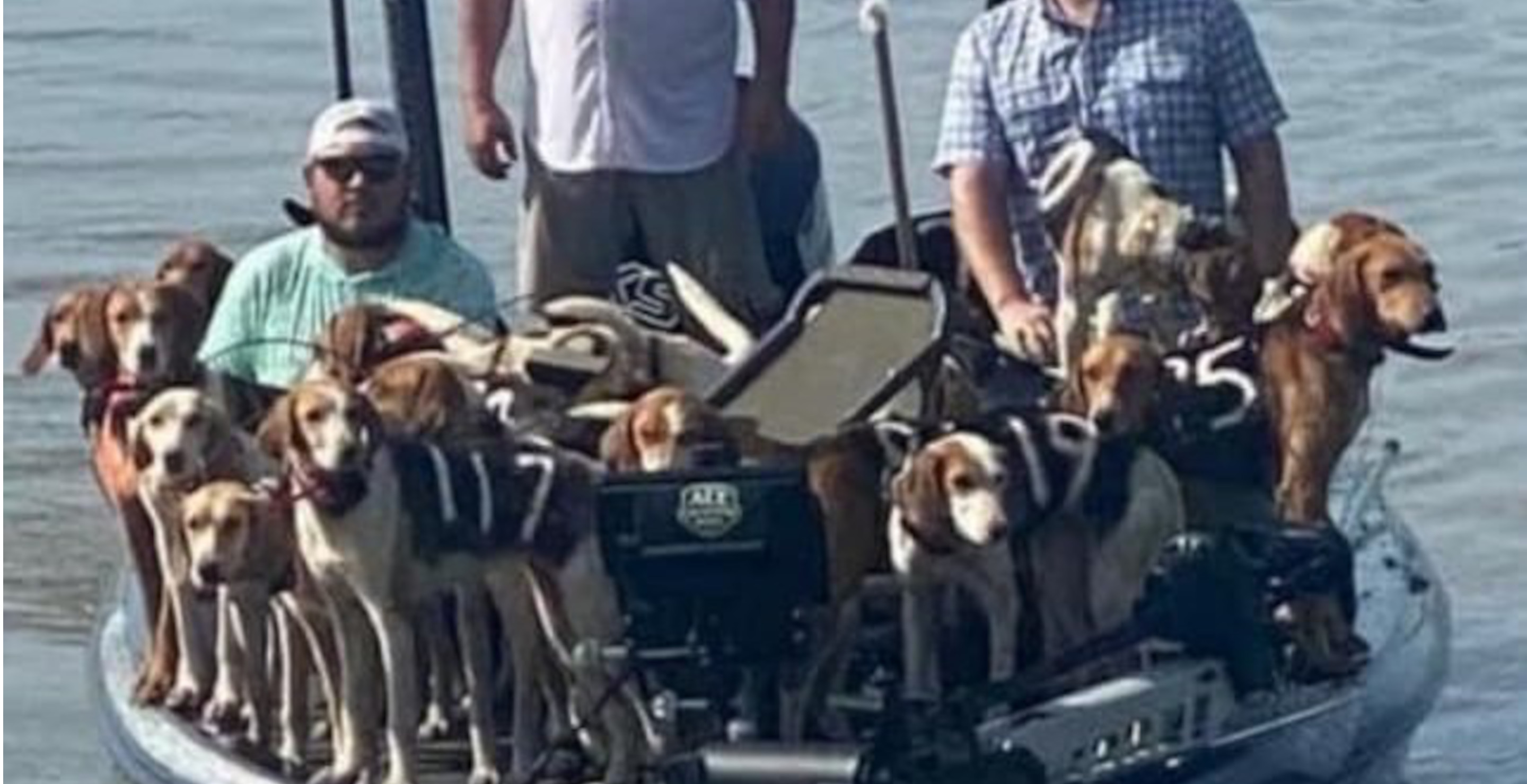 Anglers Rescues 38 Hunting Dogs From Drowning In The Middle Of A Lake