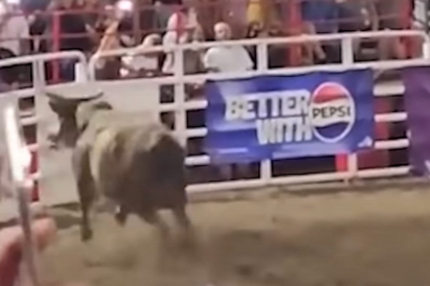 Rodeo Decides Fate Of Bull That Escaped And Injured Several People