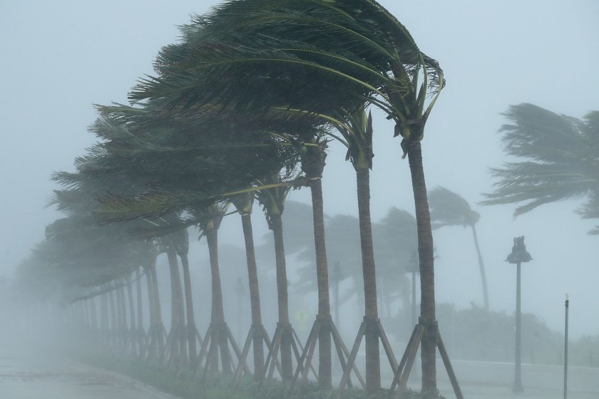 Sleeping 2-Year-Old Killed When Tornado Crashes Tree Through Home
