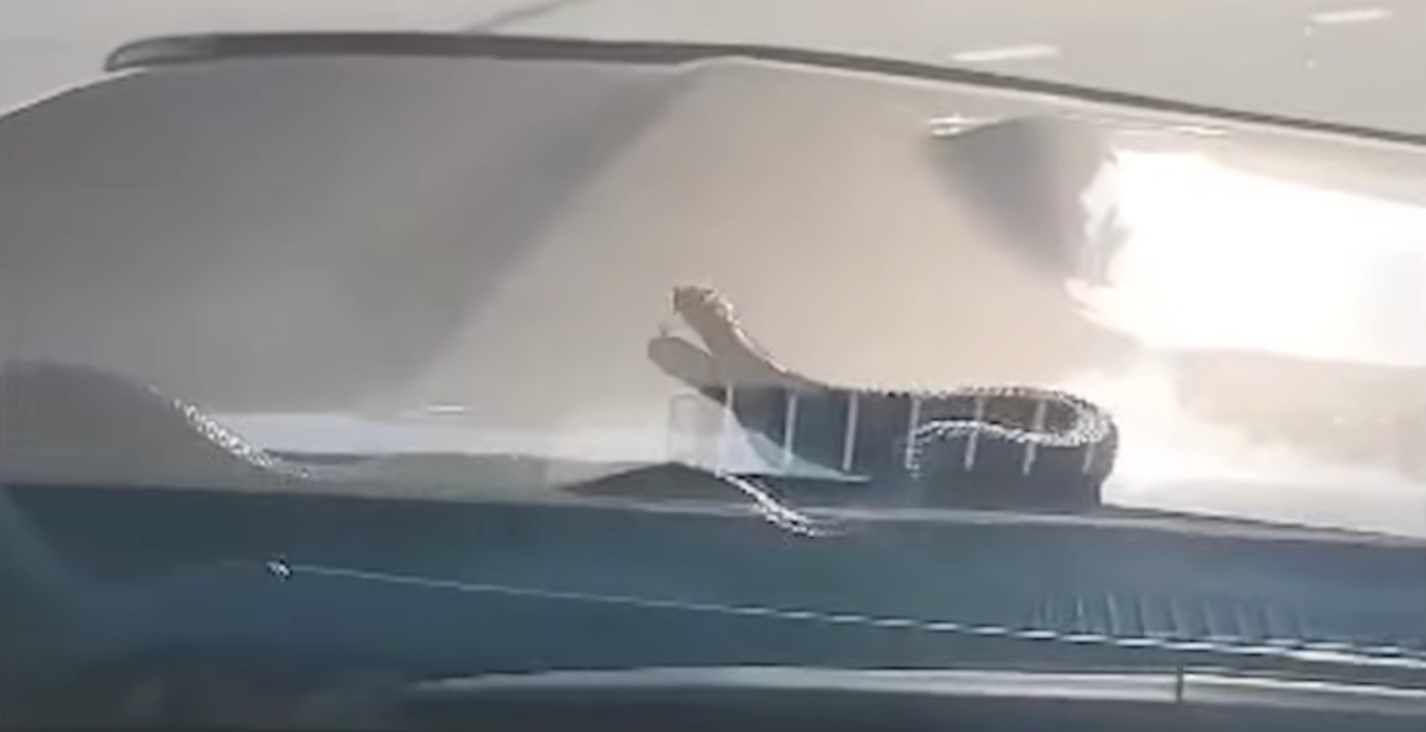 South Carolina Woman Has Fright Of Her Life When She Discovers Snake On Hood Of Her Car