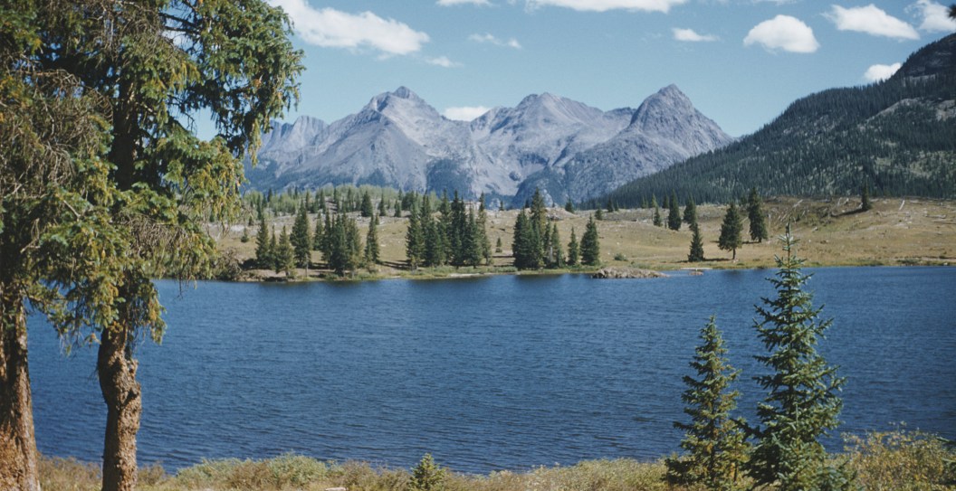 This Virginia Lake Is Linked To An Outbreak Of E. Coli Cases