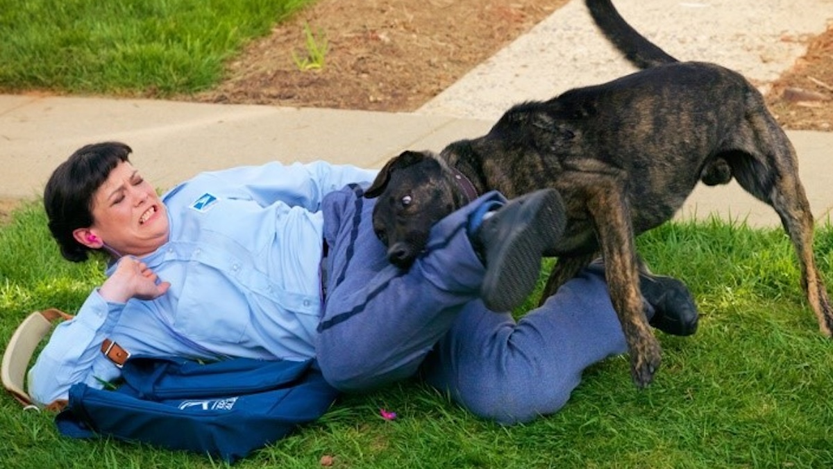 dog bites mailman