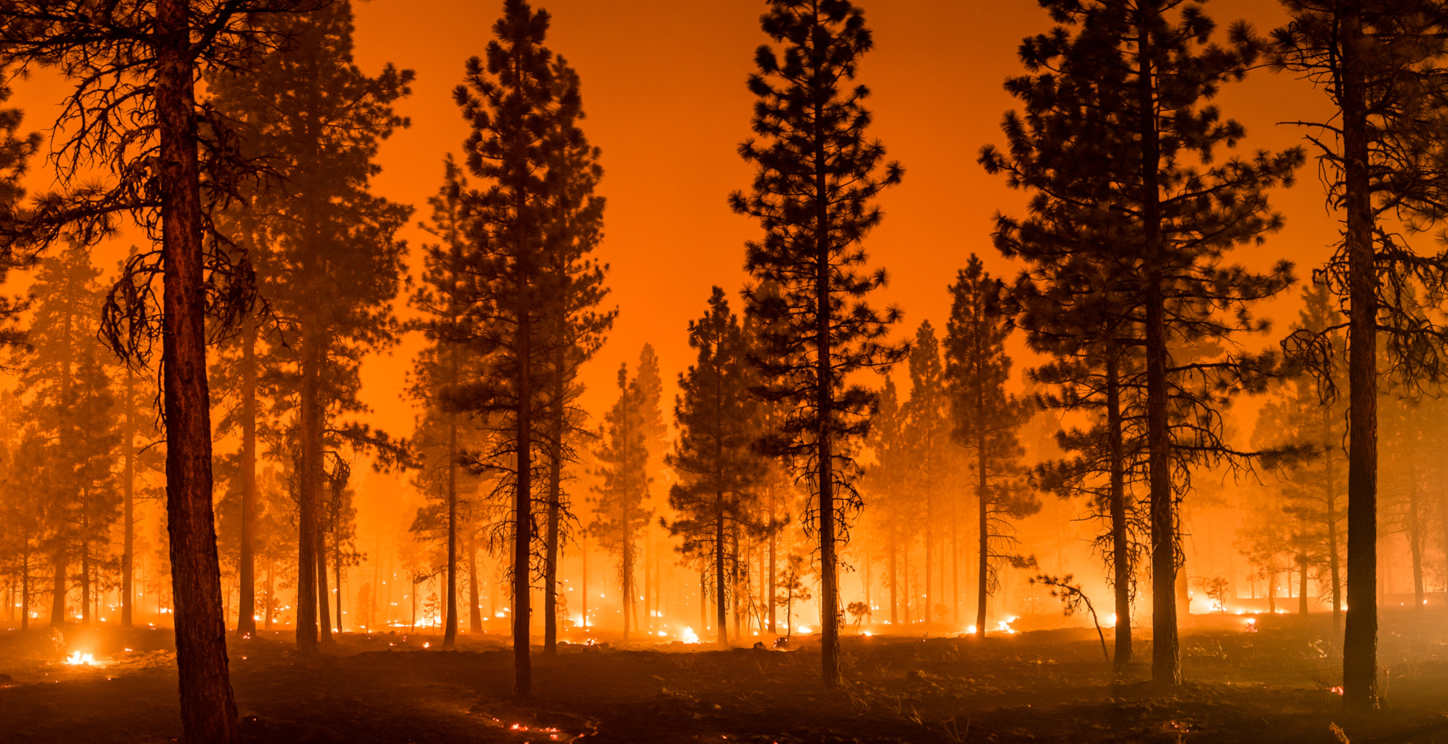 Arizona Man Charged After Wildfire Destroys 21 Homes And Burns Thousands Of Acres