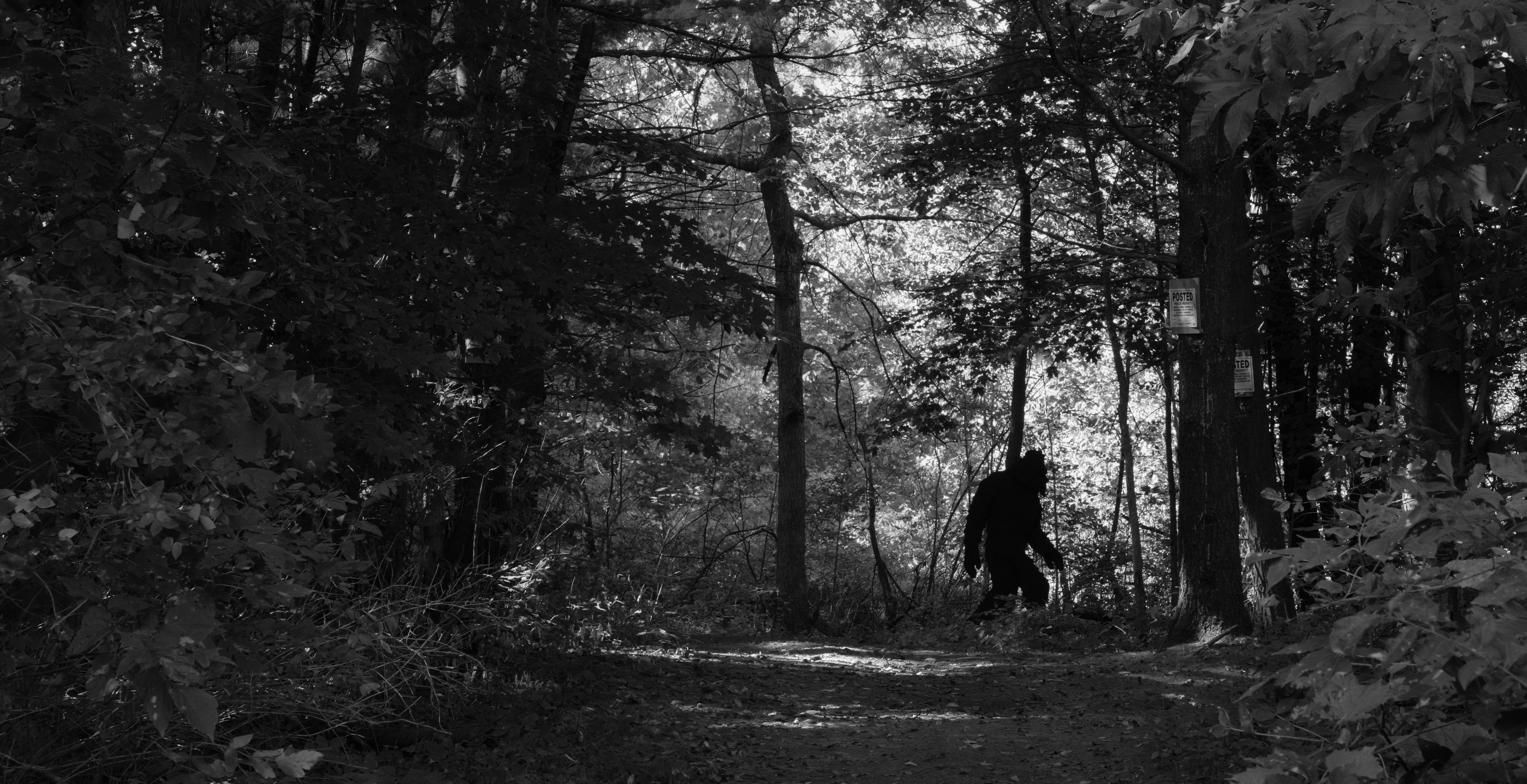 Louisiana Teens Call 911 After Encountering Terrifying Bigfoot Creature In Woods