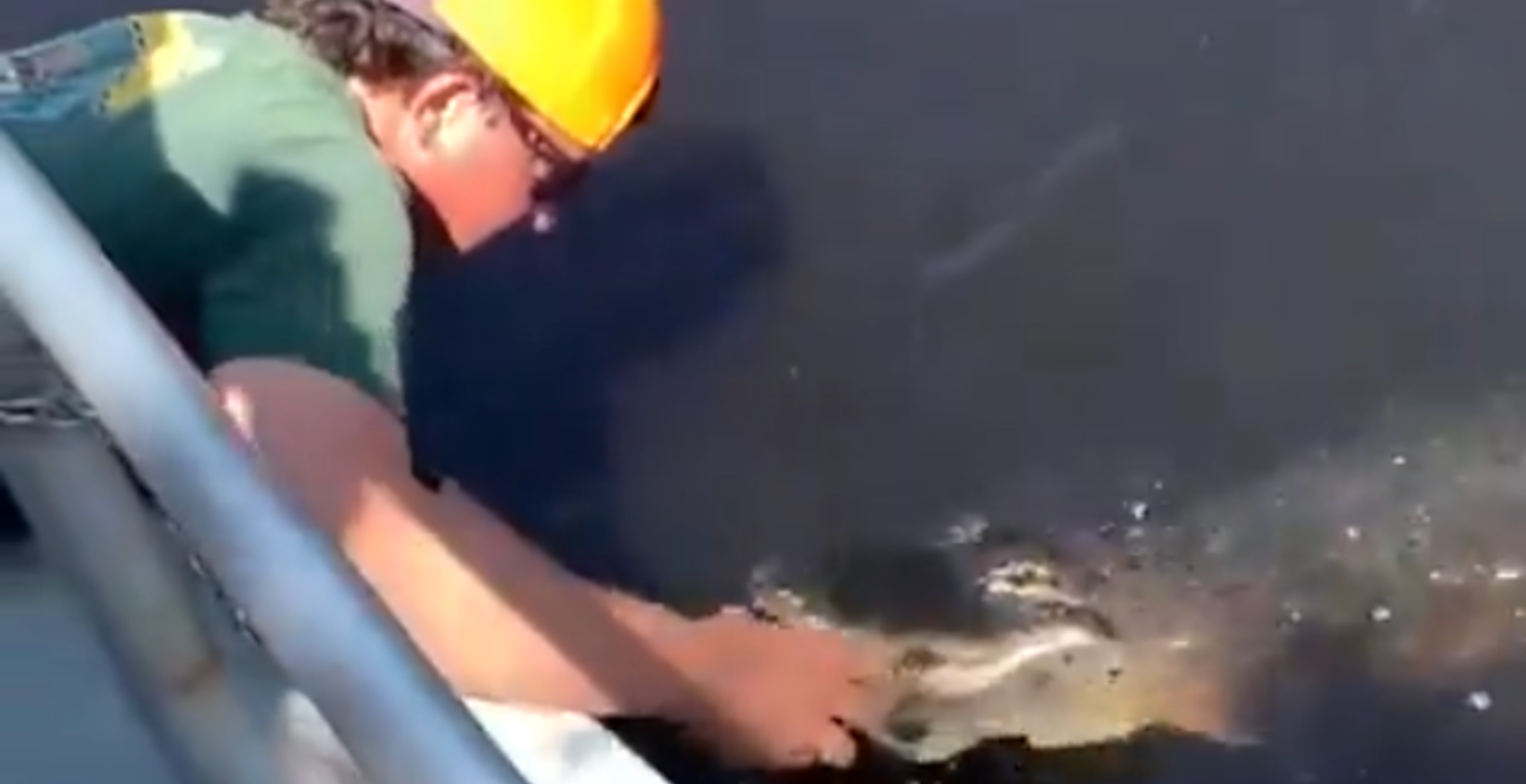 These Boaters Find An Unconventional Way To Open A Beer — The Mouth Of An Alligator