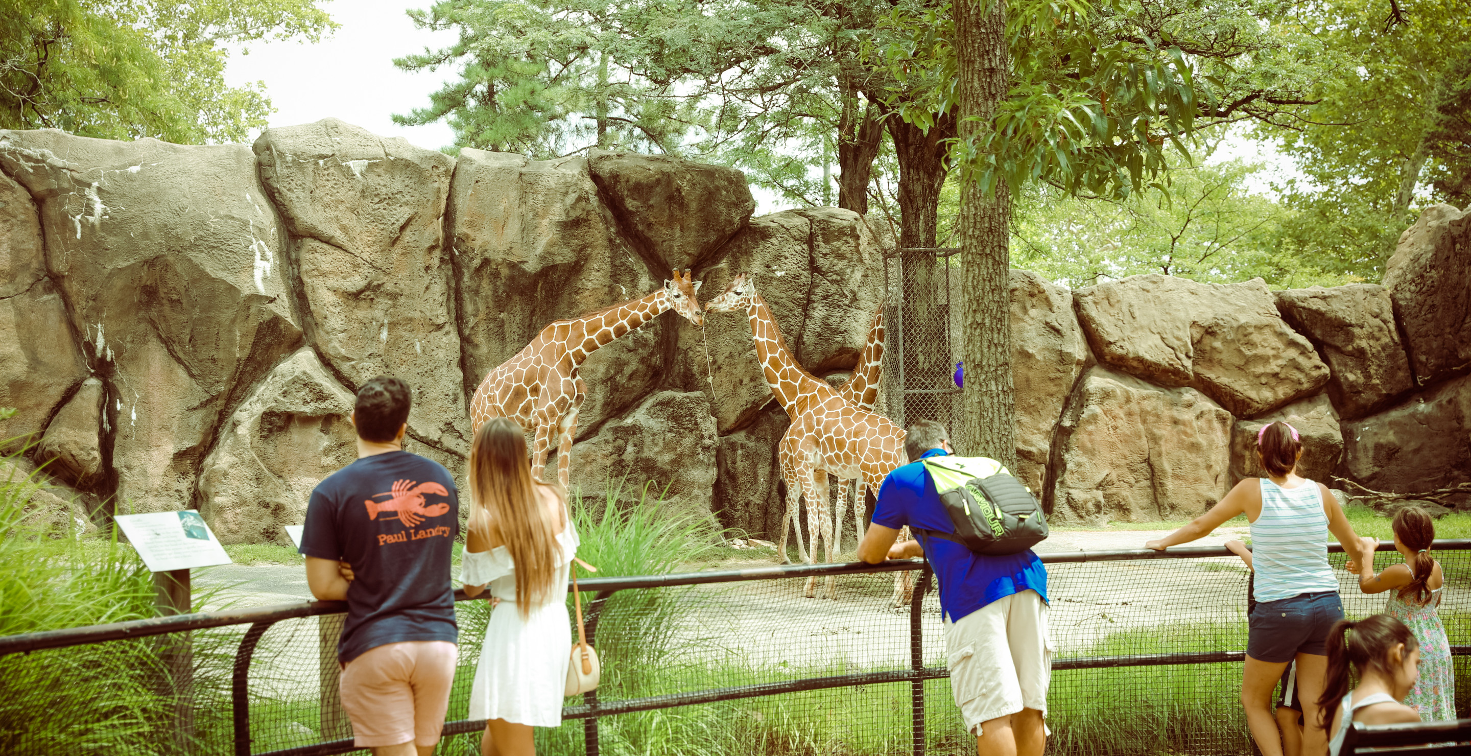Visit The Oldest Zoo In America