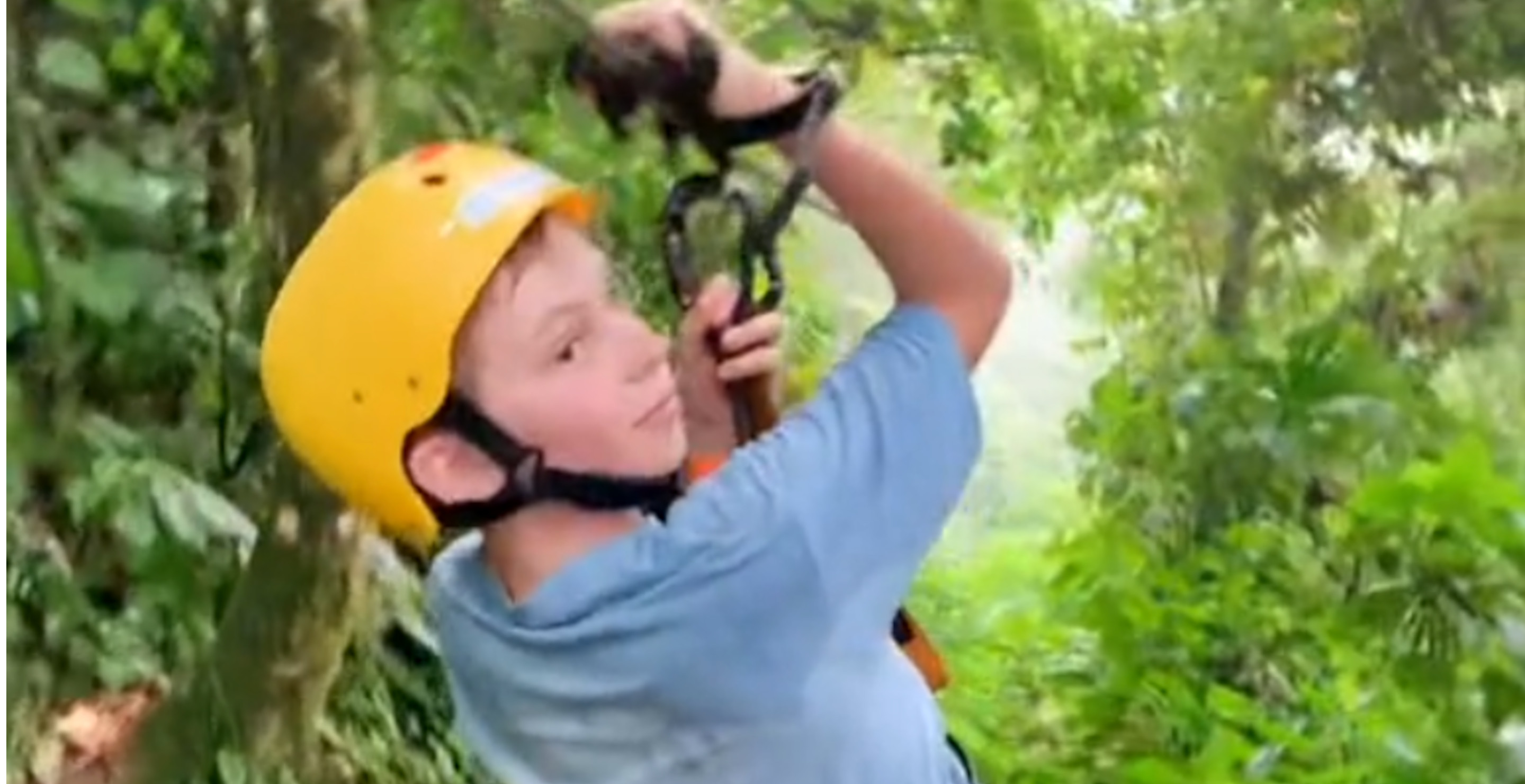 Zip-Lining Kid Crashes Into Sloth Going At Full Speed In Insane Video
