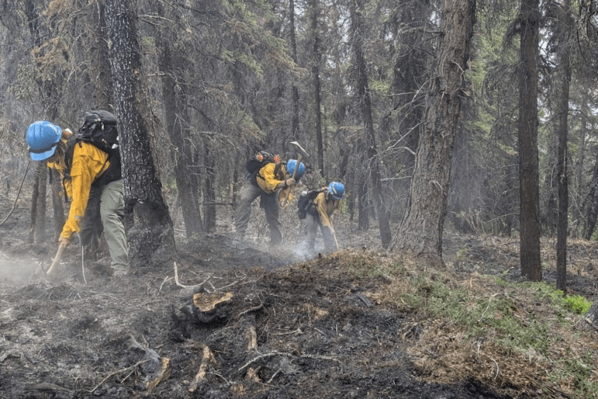 riley fire