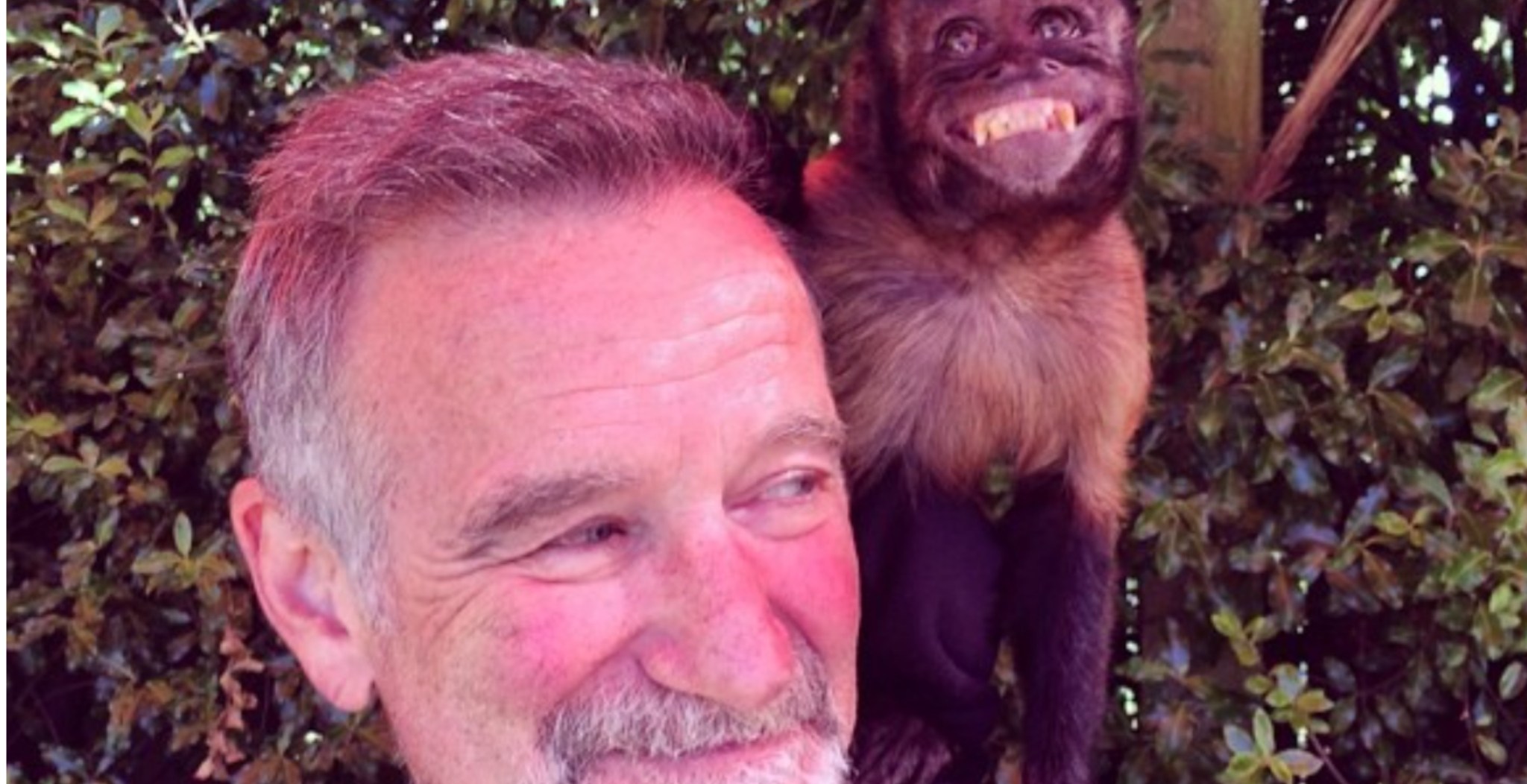 Robin Williams' Daughter Denies Icon Ever Owned A Pet Monkey, Putting ...
